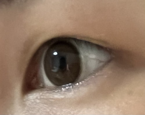 c9d0dd4a87958219fa7de657b1343ede_1693553460_2866.jpeg
